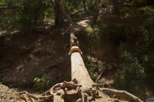 Charli Romano in Zishy set Mosquito Bites