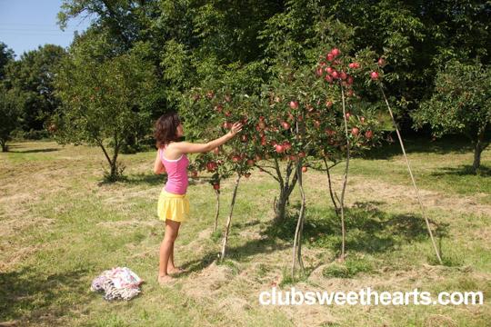 Linet in Club Sweethearts set #33470