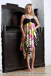 Oliwia A in Metart set Vexo