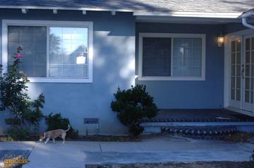 Dee Lily in Matts Models set #3725