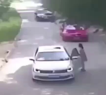 The tiger stole the girl